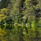 Mahlweiher Mahlweiher