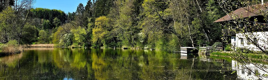 Mahlweiher Headmotiv