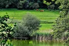 Elfenweiher mit Steg , Foto: Eva Zitzl Elfenweiher mit Steg