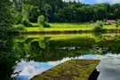 Elfenweiher mit bemoostem Steg, Foto: Eva Zitzl Elfenweiher mit bemoostem Steg