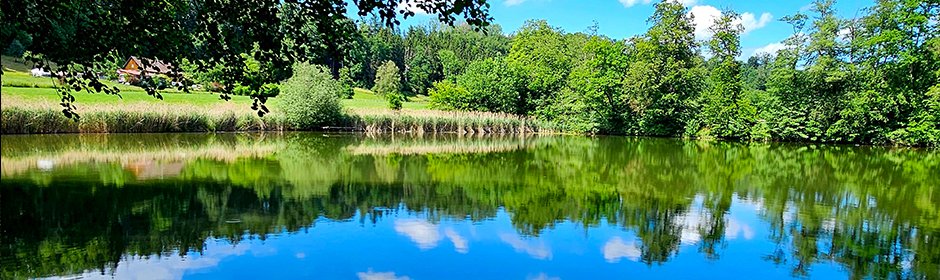 Elfenweiher Headmotiv