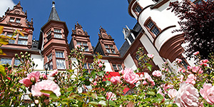 Schloss- & Burghotels am See